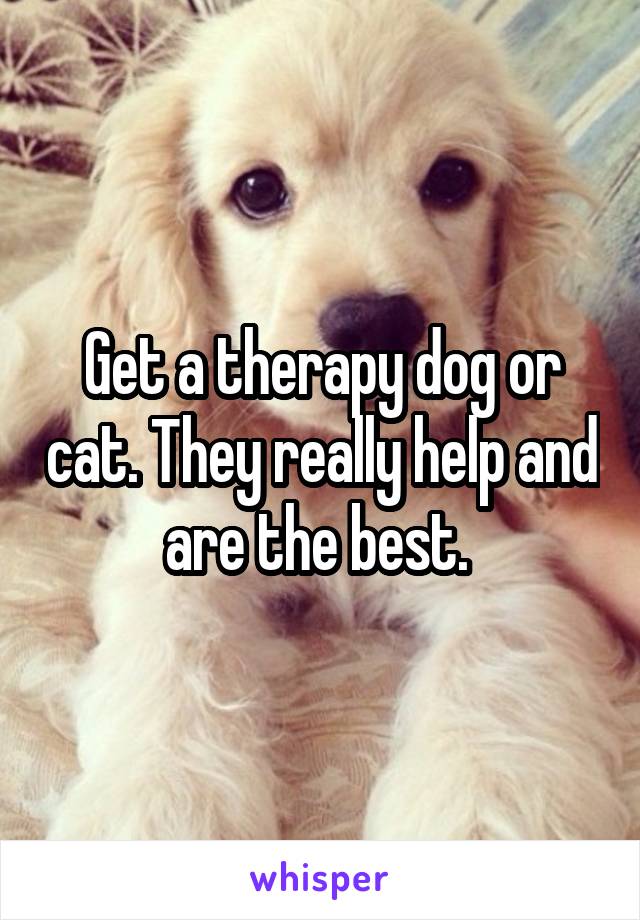 Get a therapy dog or cat. They really help and are the best. 