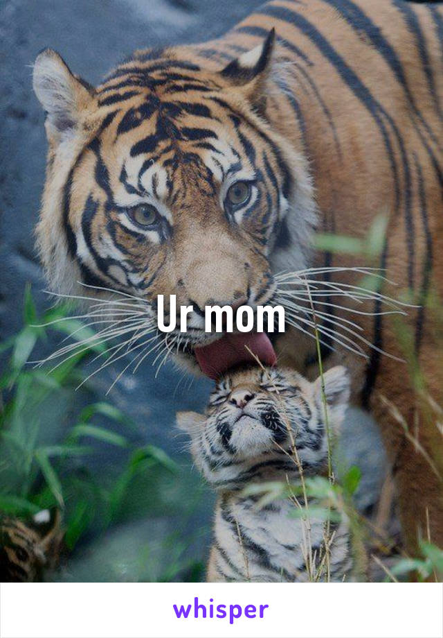 Ur mom