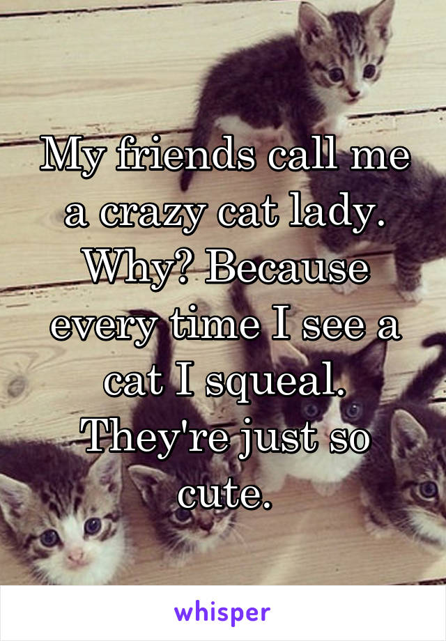 My friends call me a crazy cat lady. Why? Because every time I see a cat I squeal. They're just so cute.