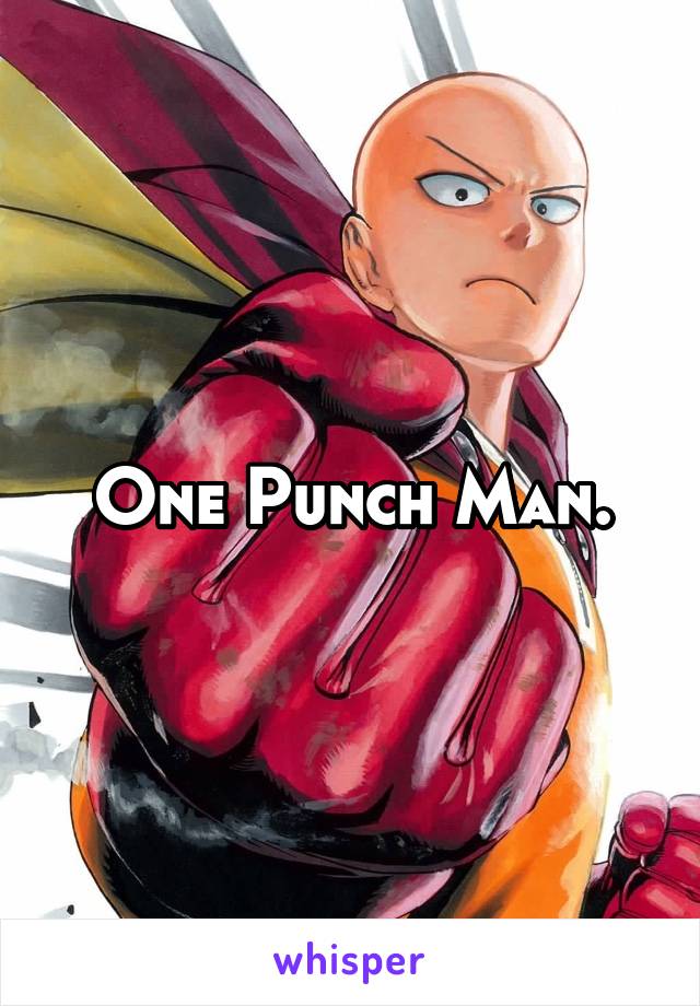 One Punch Man.