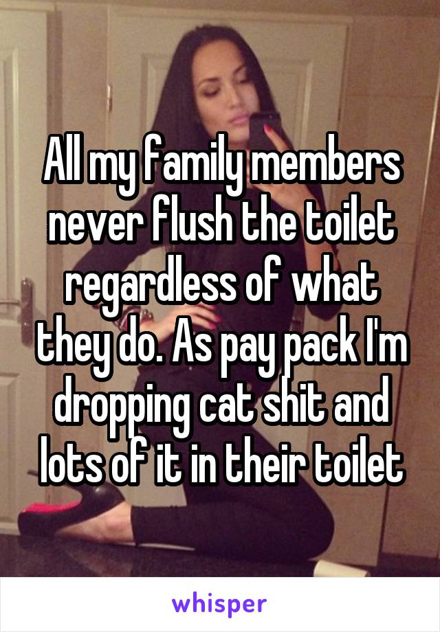 All my family members never flush the toilet regardless of what they do. As pay pack I'm dropping cat shit and lots of it in their toilet
