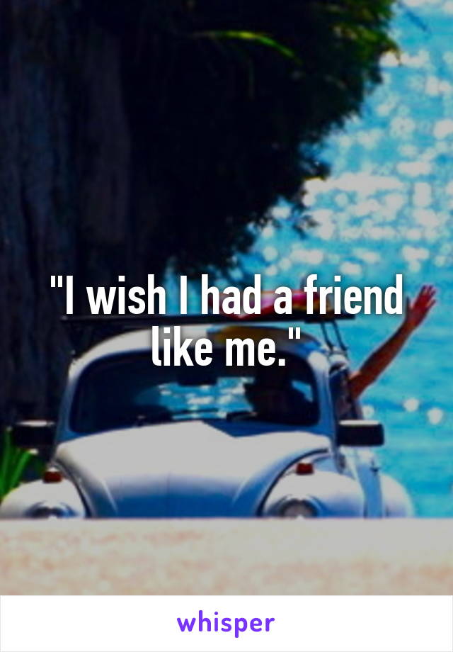 "I wish I had a friend like me."