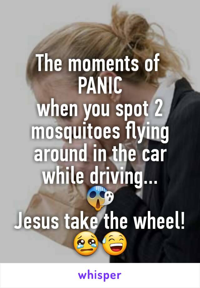 The moments of 
PANIC
when you spot 2 mosquitoes flying around in the car while driving...
😱
Jesus take the wheel!
😢😅
