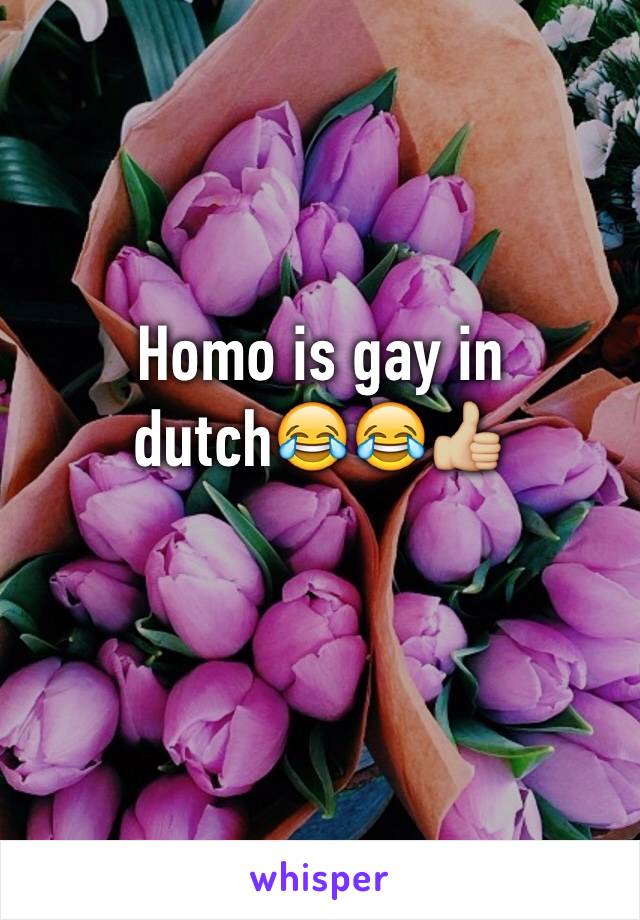 Homo is gay in dutch😂😂👍🏼