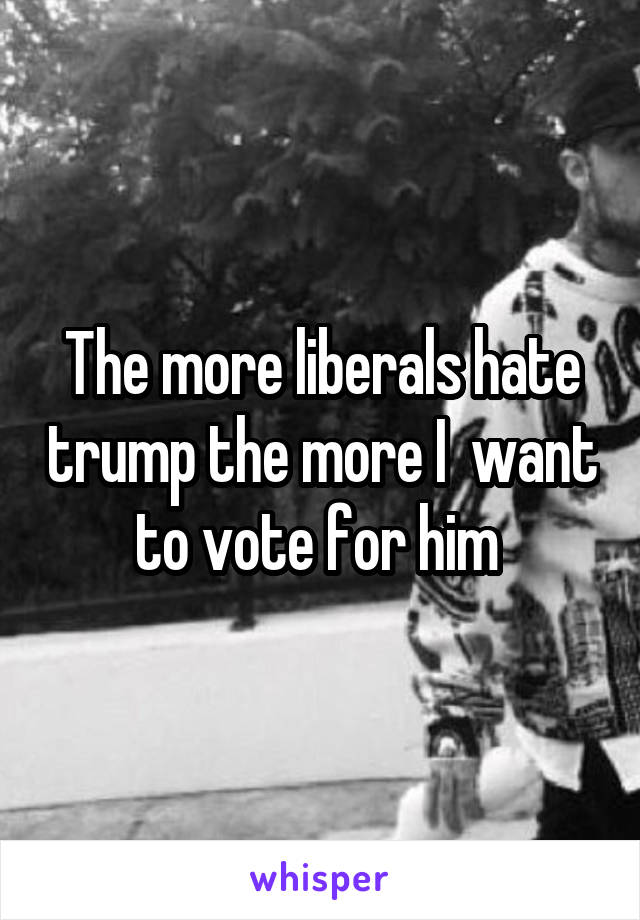 The more liberals hate trump the more I  want to vote for him 