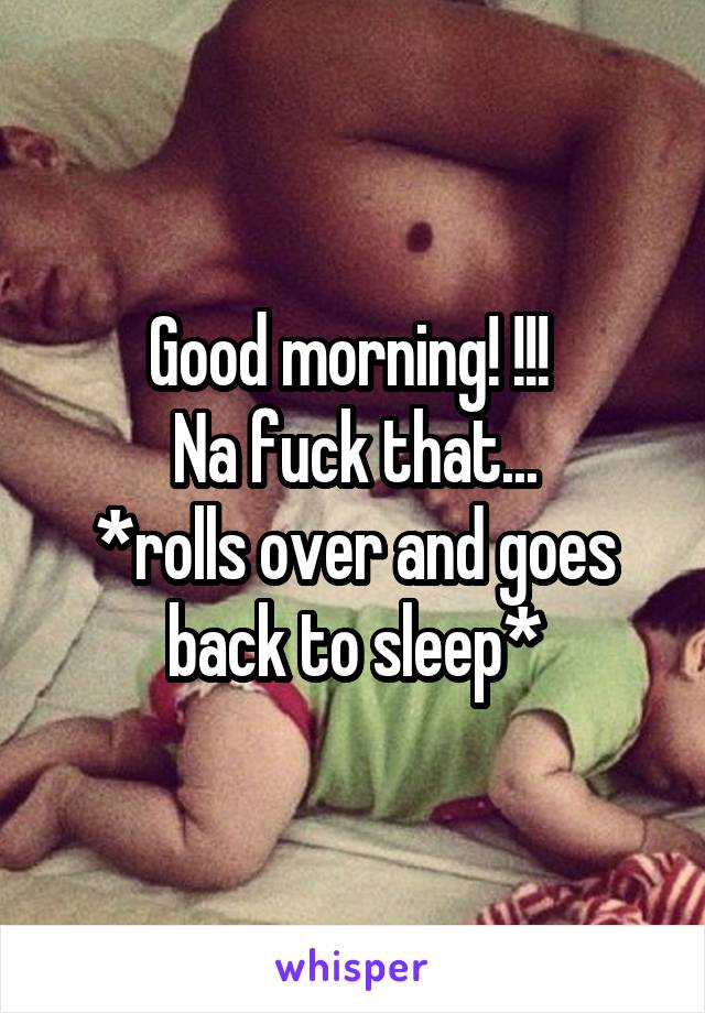 Good morning! !!! 
Na fuck that...
*rolls over and goes back to sleep*