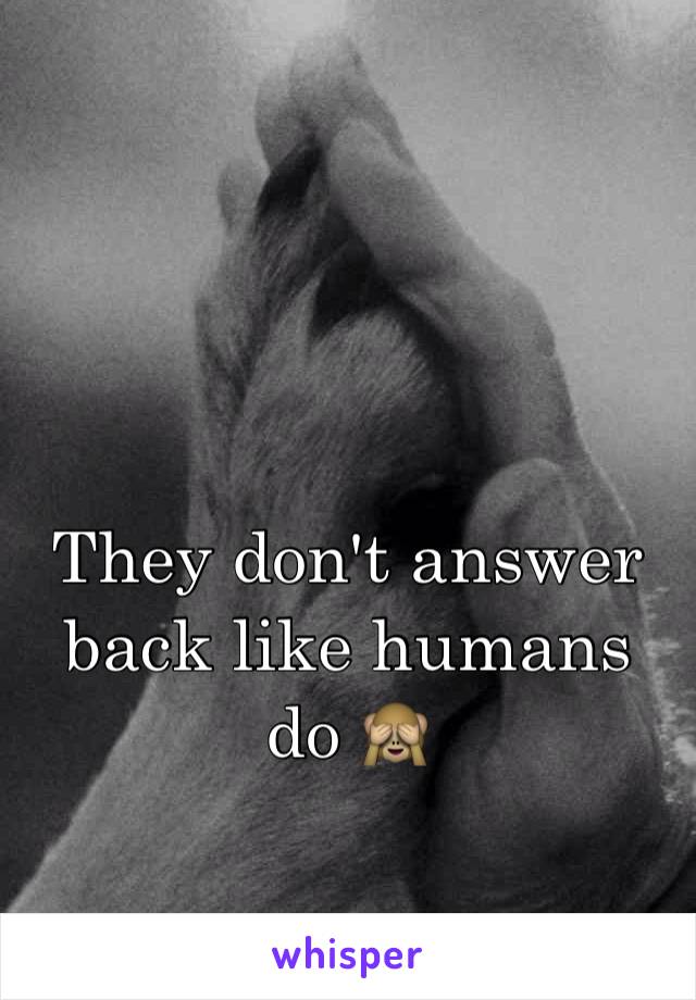 They don't answer back like humans do 🙈