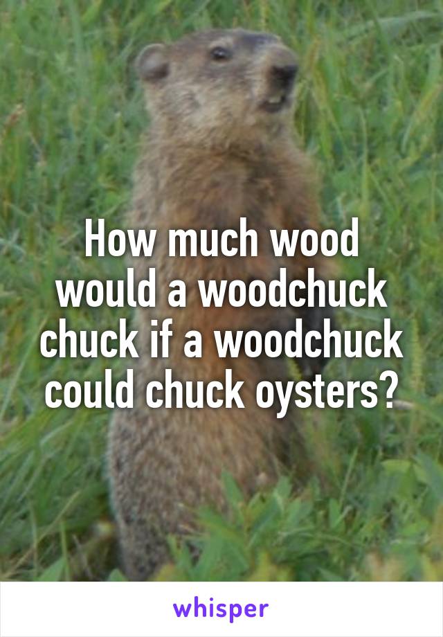 How much wood would a woodchuck chuck if a woodchuck could chuck oysters?