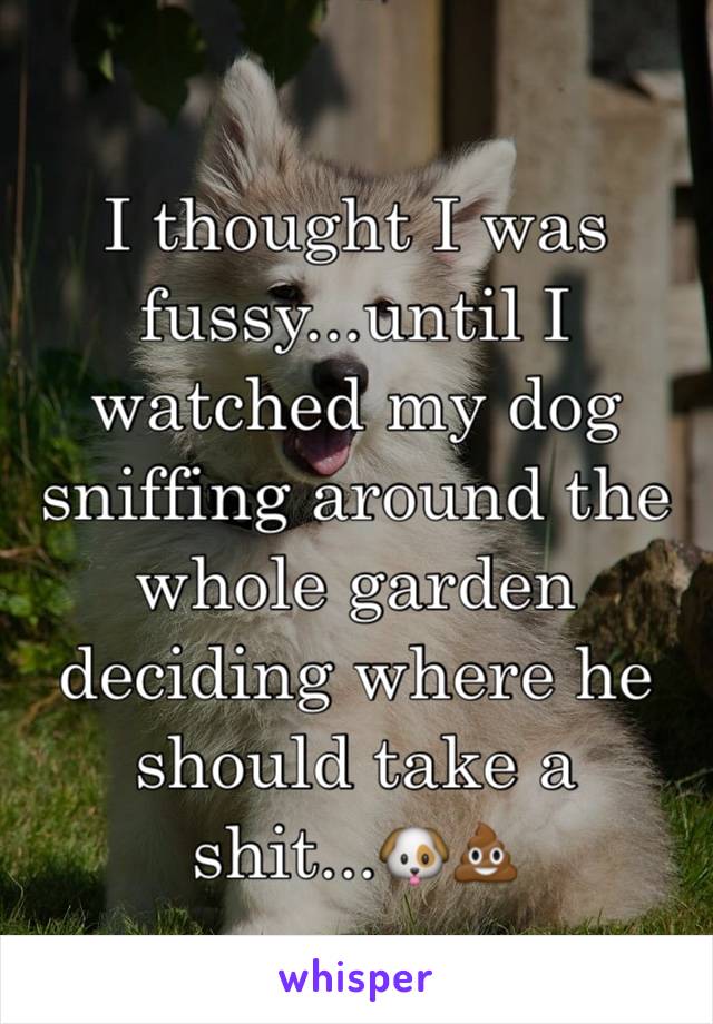 I thought I was fussy...until I watched my dog sniffing around the whole garden deciding where he should take a shit...🐶💩
