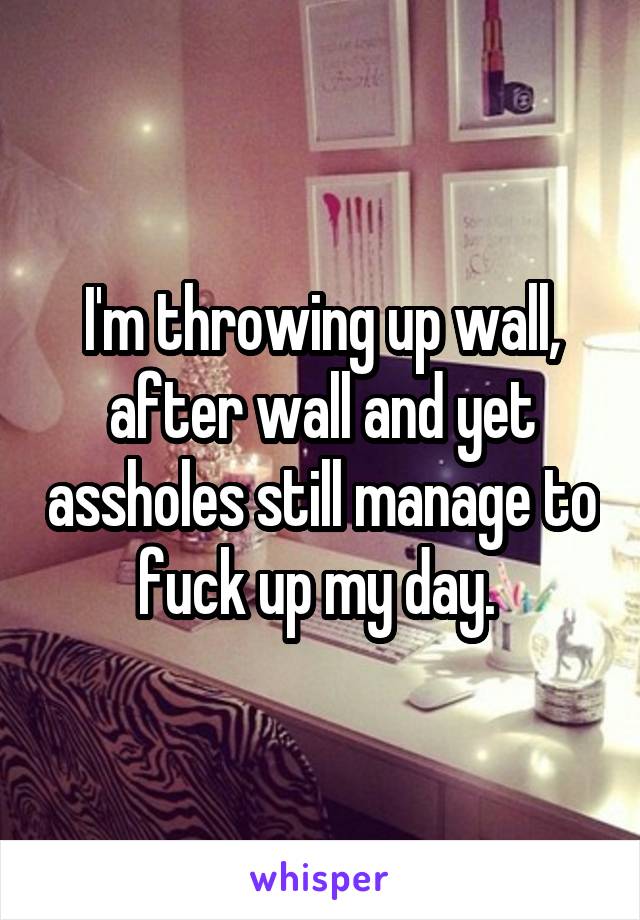 I'm throwing up wall, after wall and yet assholes still manage to fuck up my day. 
