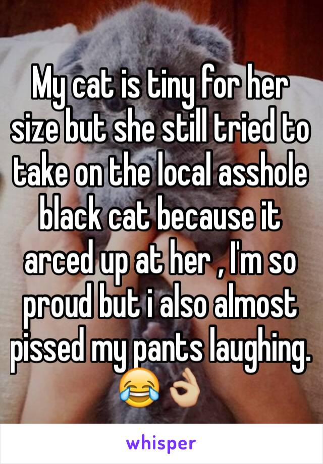 My cat is tiny for her size but she still tried to take on the local asshole black cat because it arced up at her , I'm so proud but i also almost pissed my pants laughing. 😂👌🏼