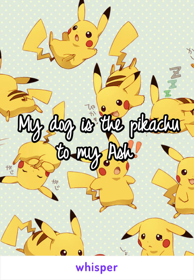 My dog is the pikachu to my Ash 