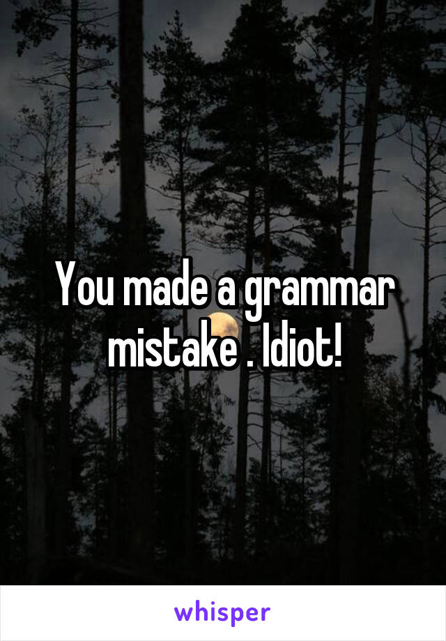 You made a grammar mistake . Idiot!
