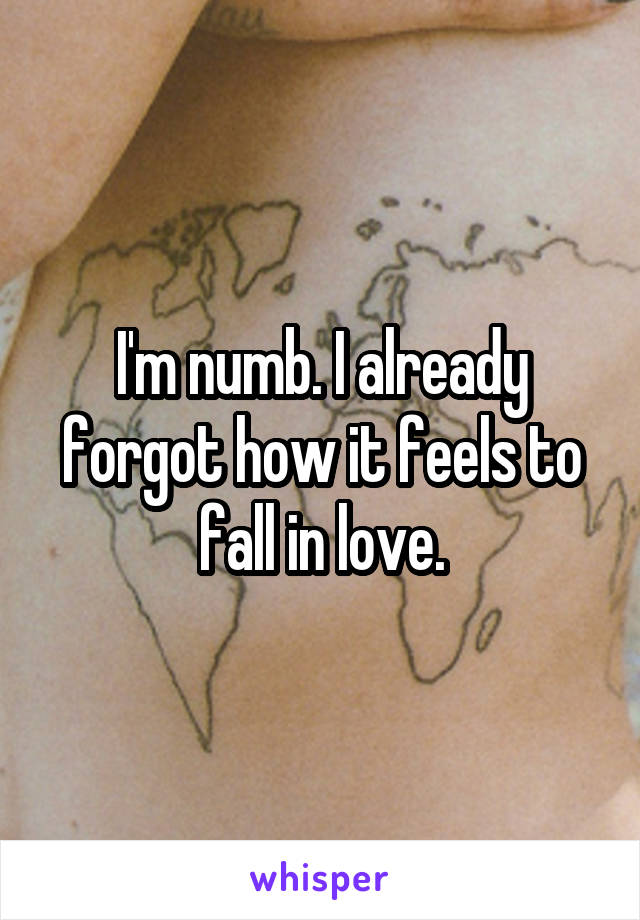 I'm numb. I already forgot how it feels to fall in love.