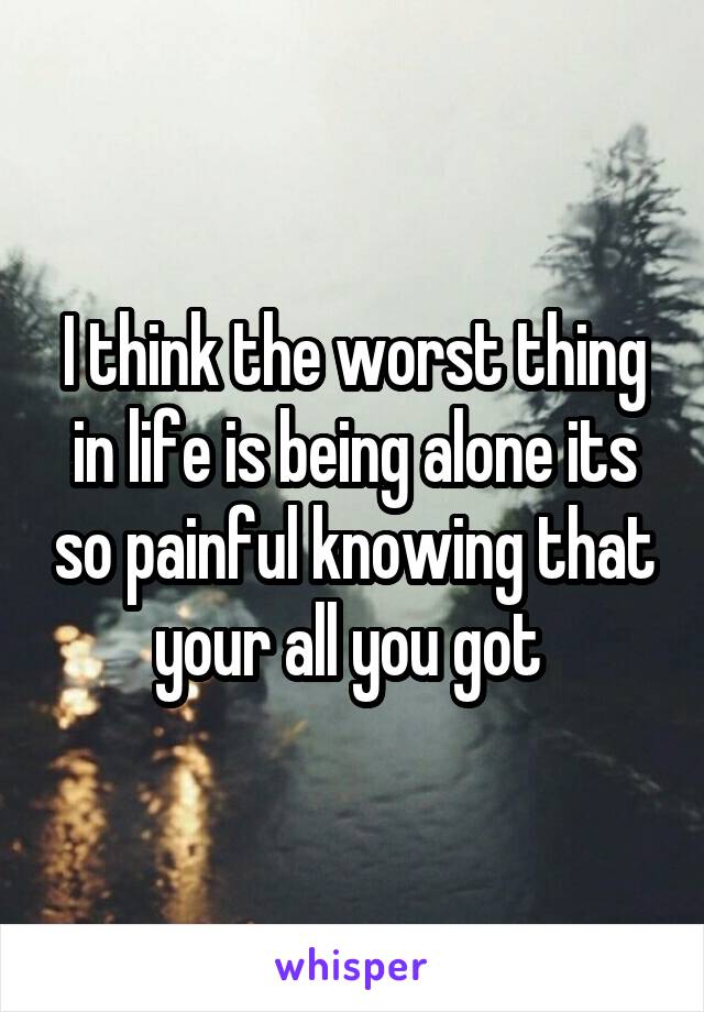I think the worst thing in life is being alone its so painful knowing that your all you got 