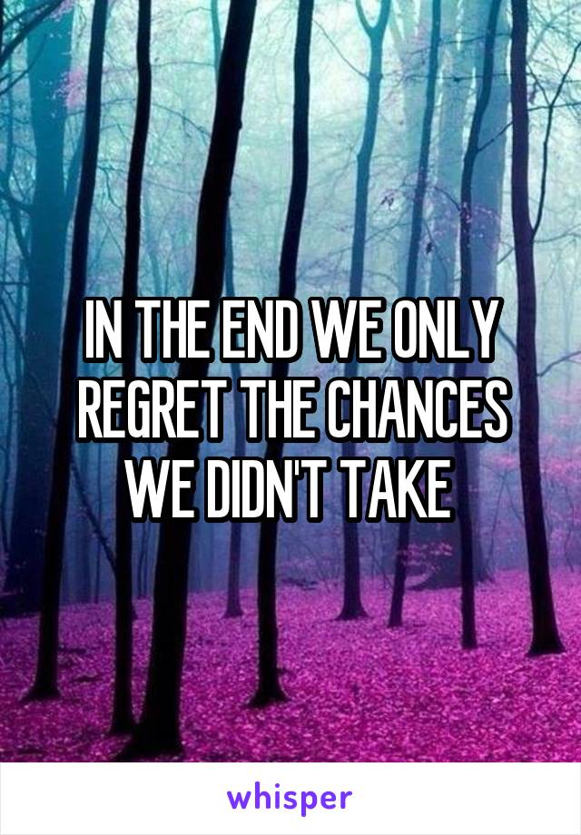 IN THE END WE ONLY REGRET THE CHANCES WE DIDN'T TAKE 