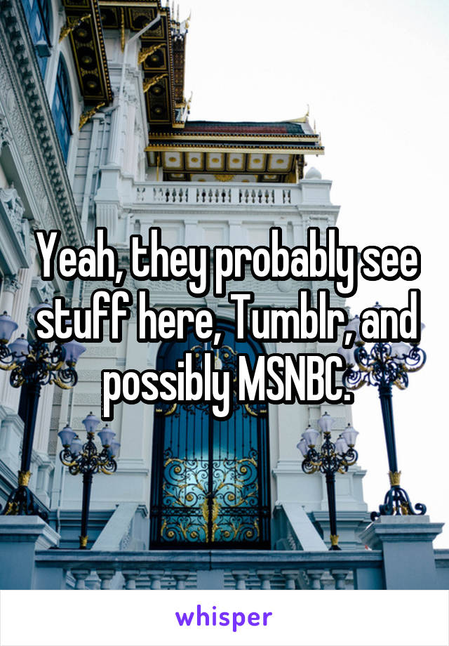 Yeah, they probably see stuff here, Tumblr, and possibly MSNBC.