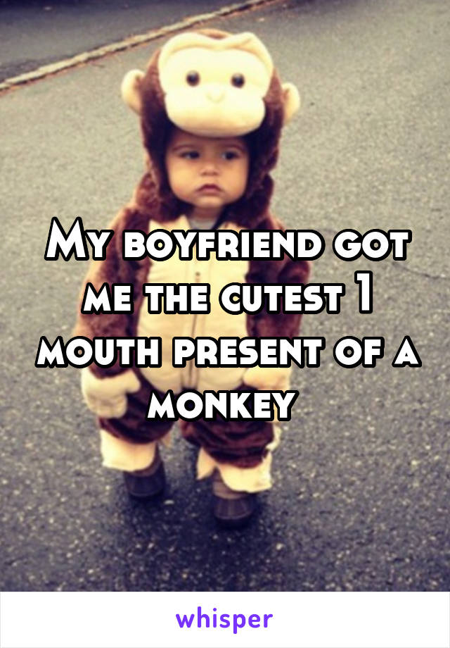 My boyfriend got me the cutest 1 mouth present of a monkey 