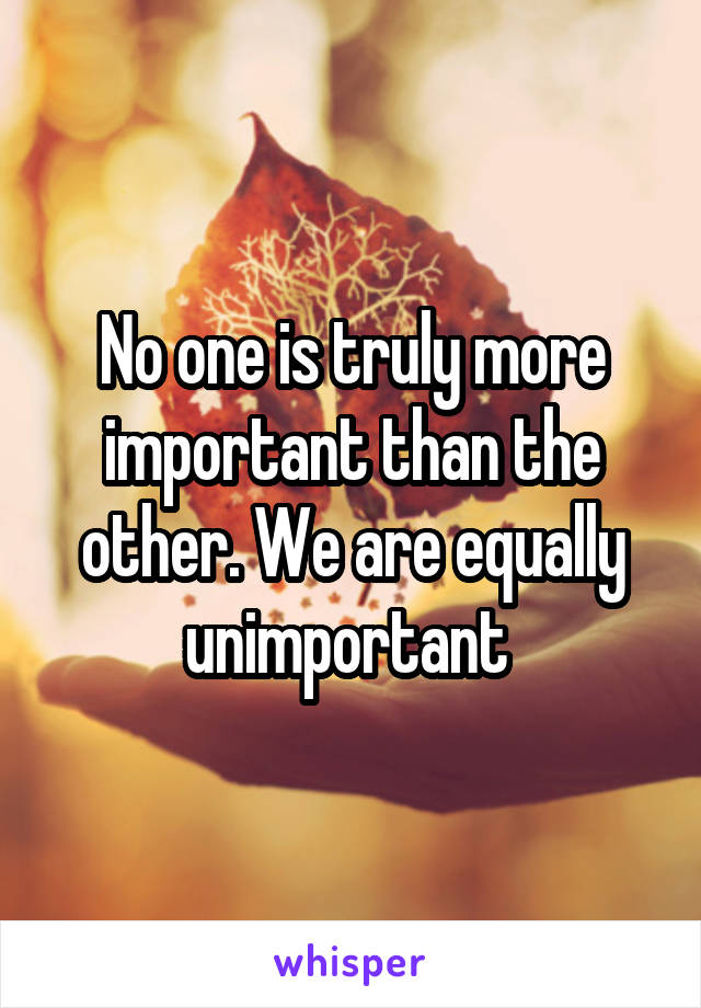 No one is truly more important than the other. We are equally unimportant 