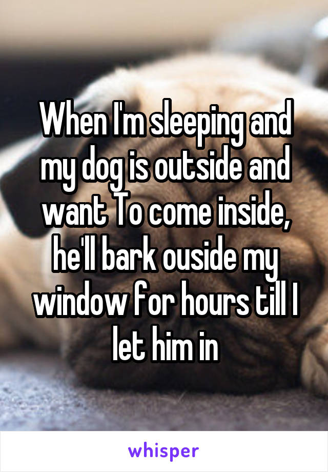 When I'm sleeping and my dog is outside and want To come inside, he'll bark ouside my window for hours till I let him in