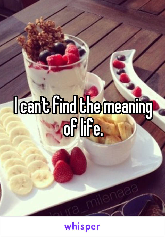 I can't find the meaning of life.