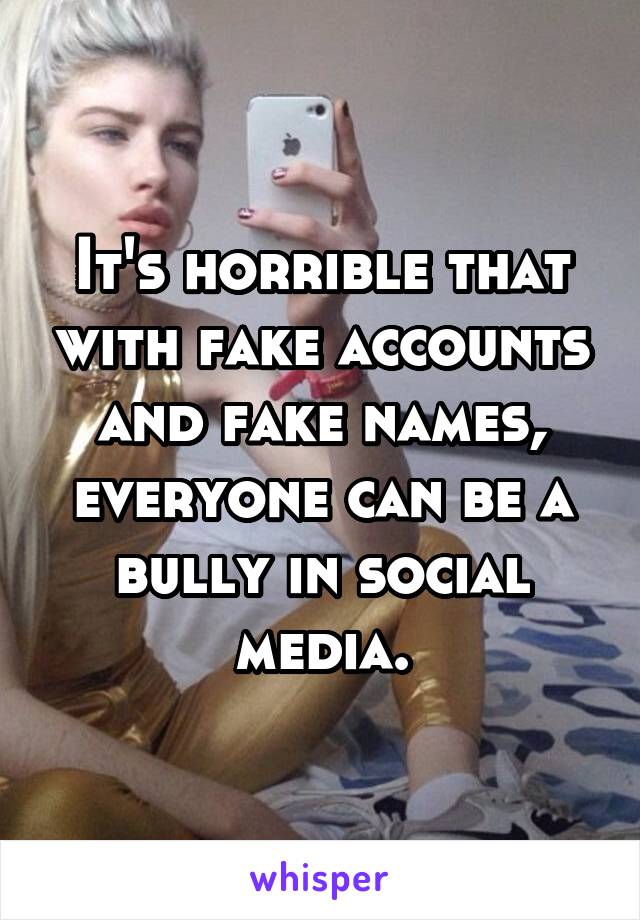 It's horrible that with fake accounts and fake names, everyone can be a bully in social media.