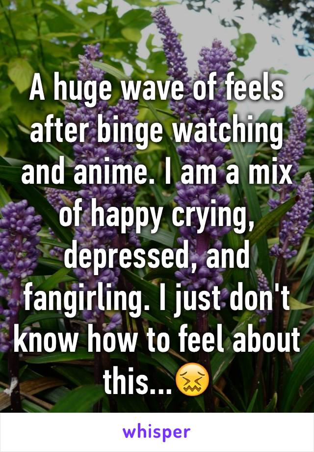 A huge wave of feels after binge watching and anime. I am a mix of happy crying, depressed, and fangirling. I just don't know how to feel about this...😖