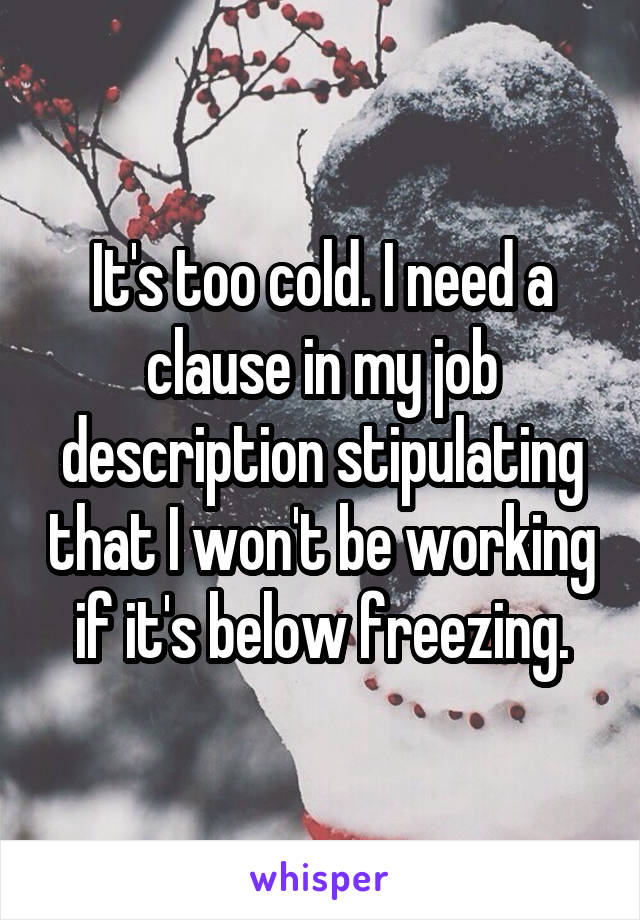 It's too cold. I need a clause in my job description stipulating that I won't be working if it's below freezing.