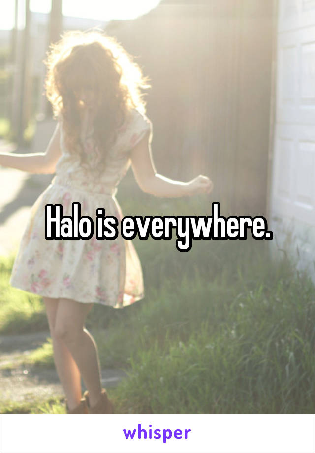 Halo is everywhere.