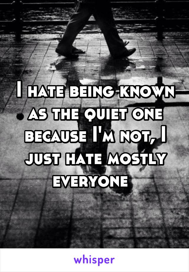 I hate being known as the quiet one because I'm not, I just hate mostly everyone  