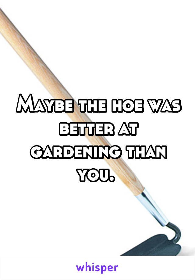 Maybe the hoe was better at gardening than you. 