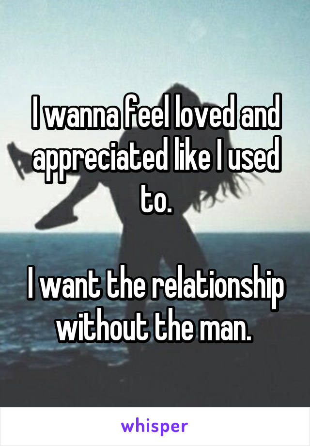 I wanna feel loved and appreciated like I used to.

I want the relationship without the man. 