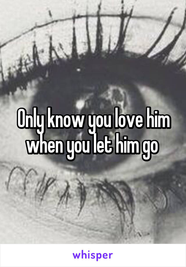 Only know you love him when you let him go 
