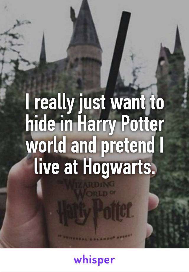 I really just want to hide in Harry Potter world and pretend I live at Hogwarts.