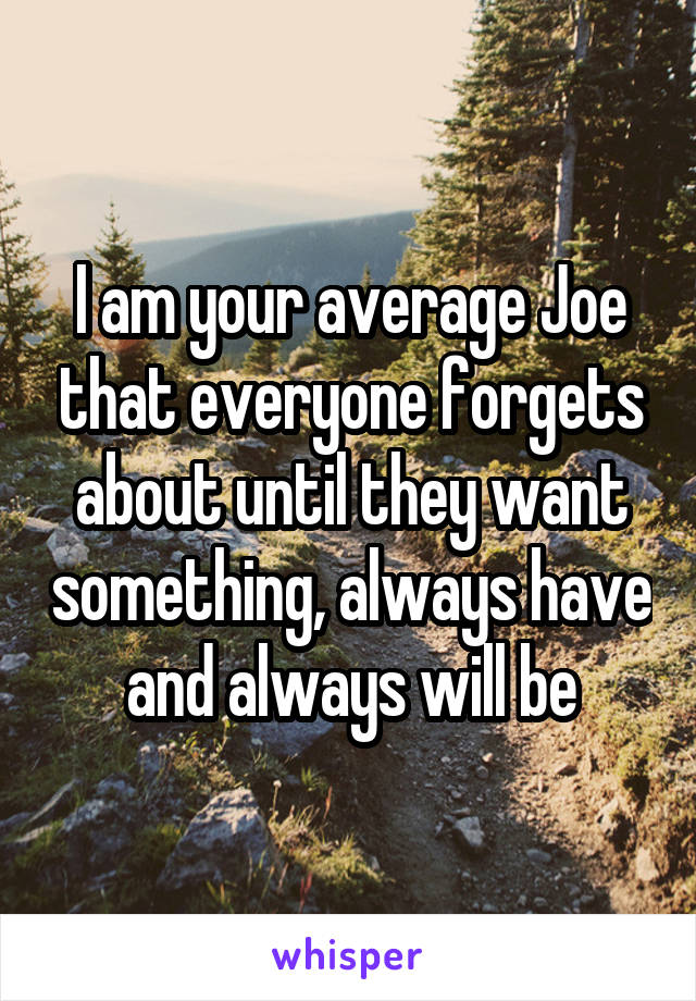 I am your average Joe that everyone forgets about until they want something, always have and always will be