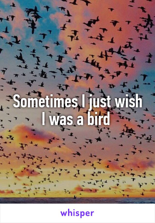 Sometimes I just wish I was a bird 