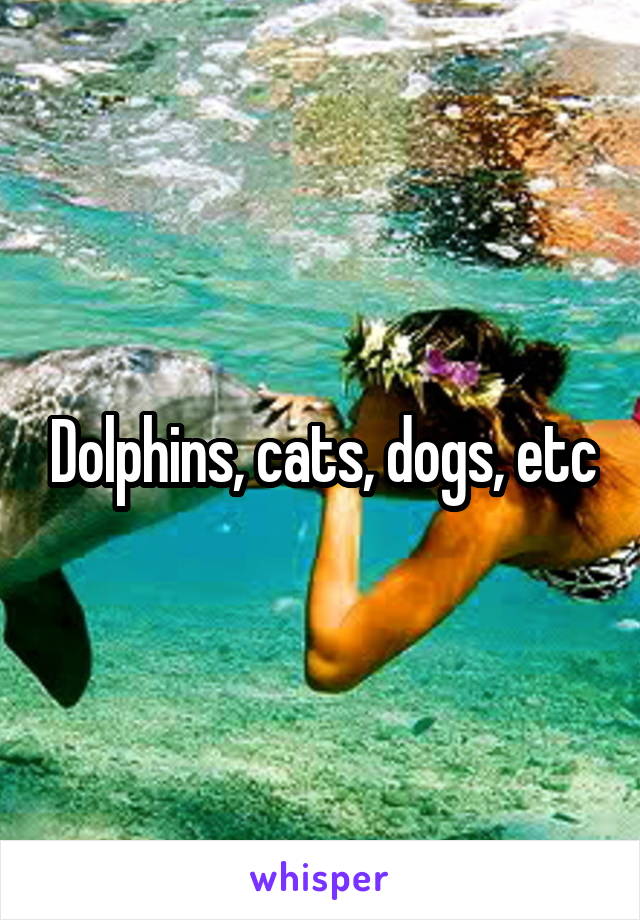 Dolphins, cats, dogs, etc