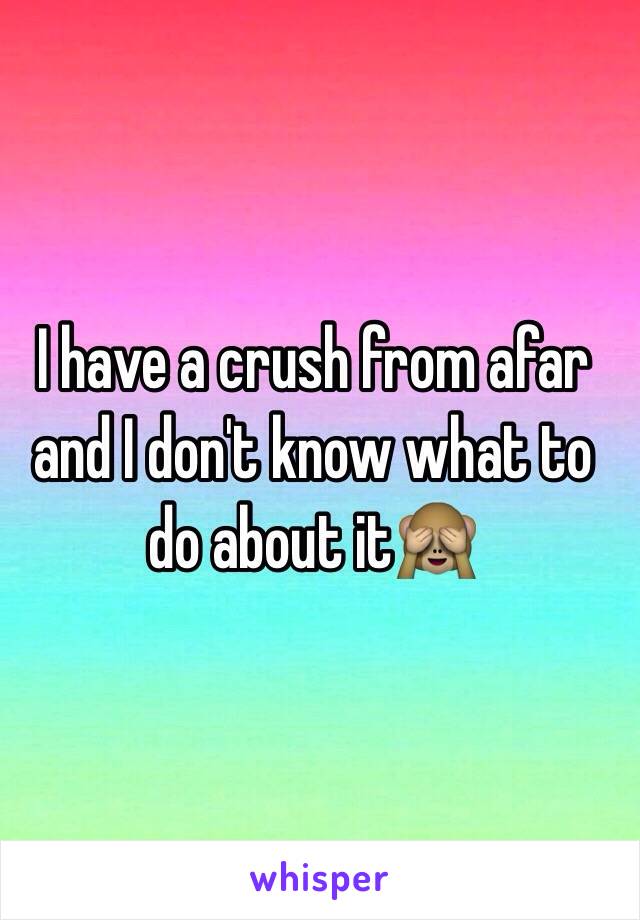 I have a crush from afar
and I don't know what to do about it🙈