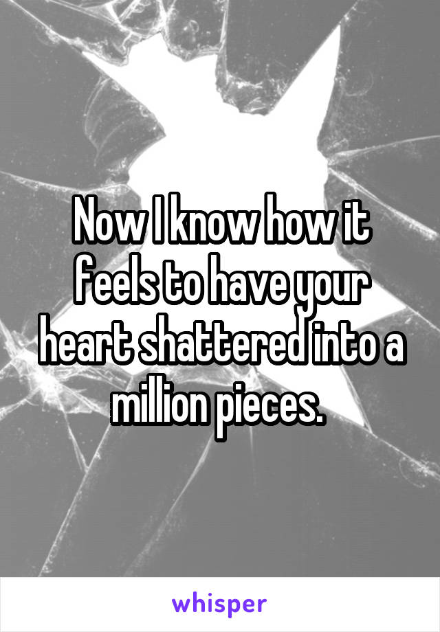 Now I know how it feels to have your heart shattered into a million pieces. 