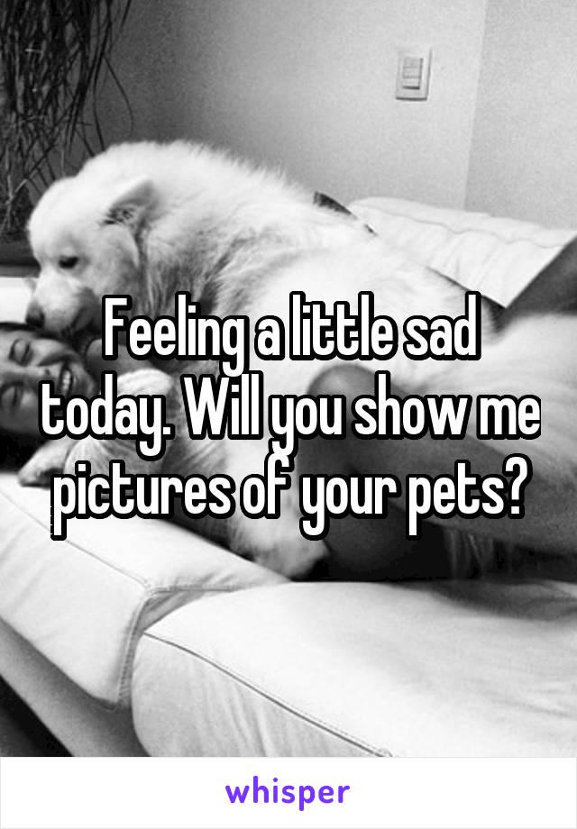 Feeling a little sad today. Will you show me pictures of your pets?