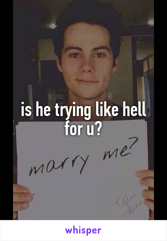 is he trying like hell for u?