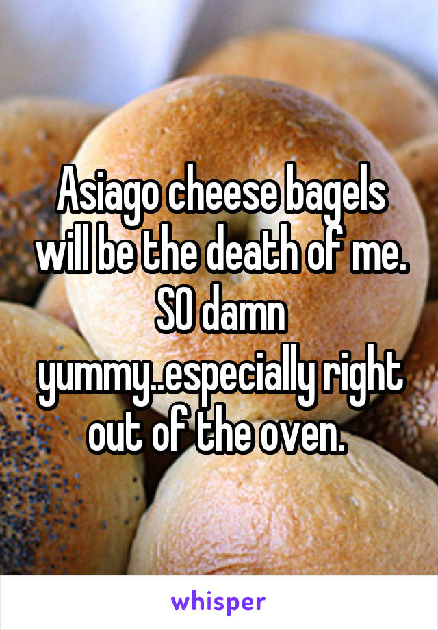 Asiago cheese bagels will be the death of me. SO damn yummy..especially right out of the oven. 