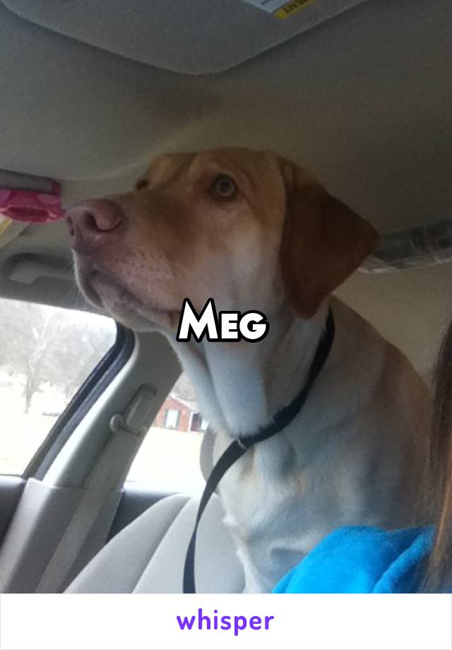 Meg 