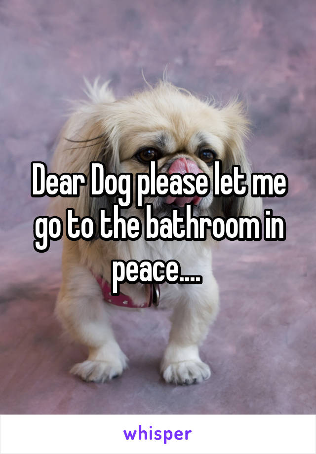 Dear Dog please let me go to the bathroom in peace.... 
