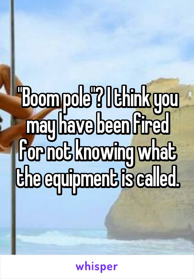 "Boom pole"? I think you may have been fired for not knowing what the equipment is called.