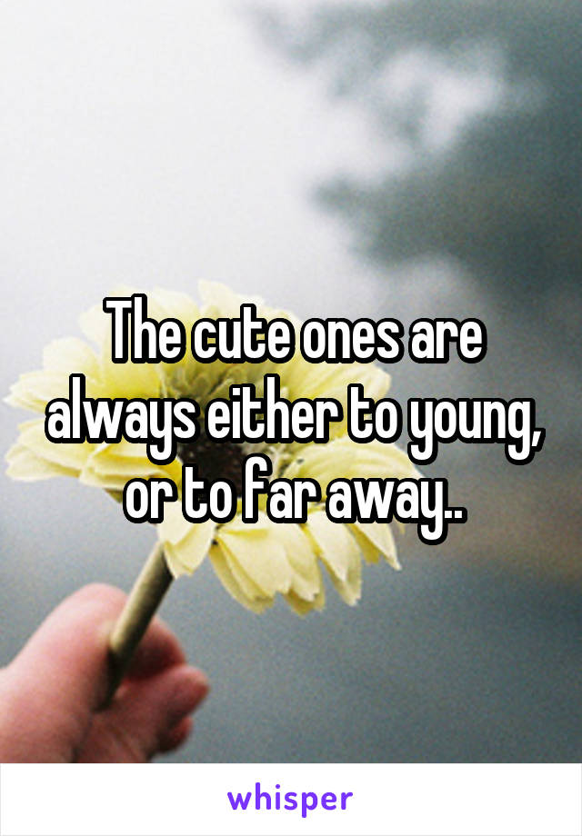 The cute ones are always either to young, or to far away..