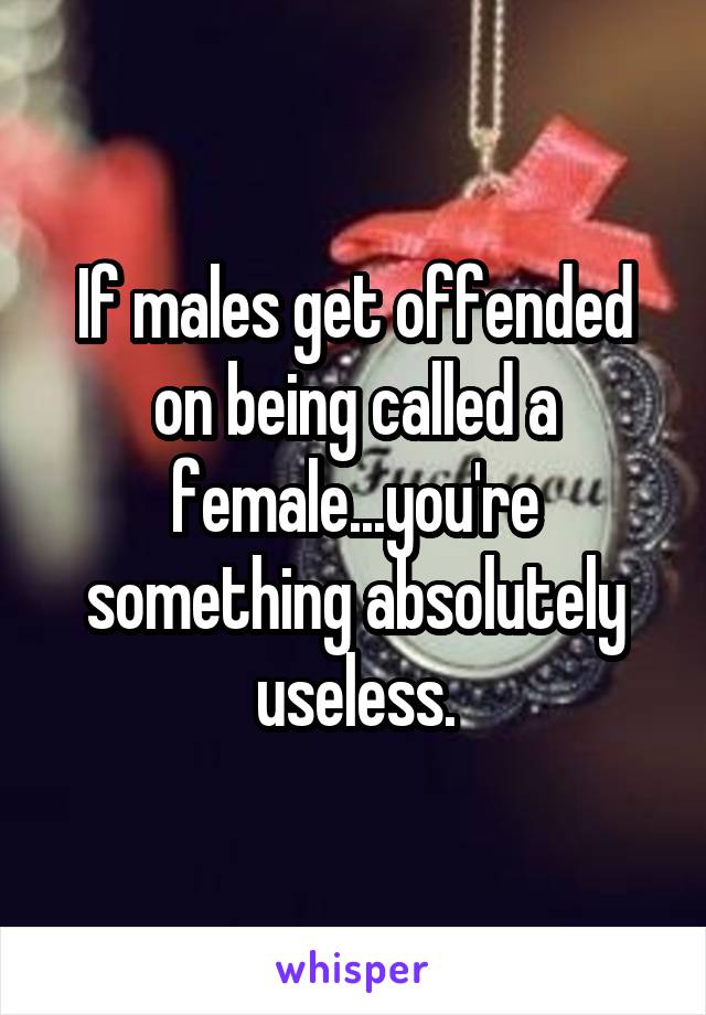 If males get offended on being called a female...you're something absolutely useless.