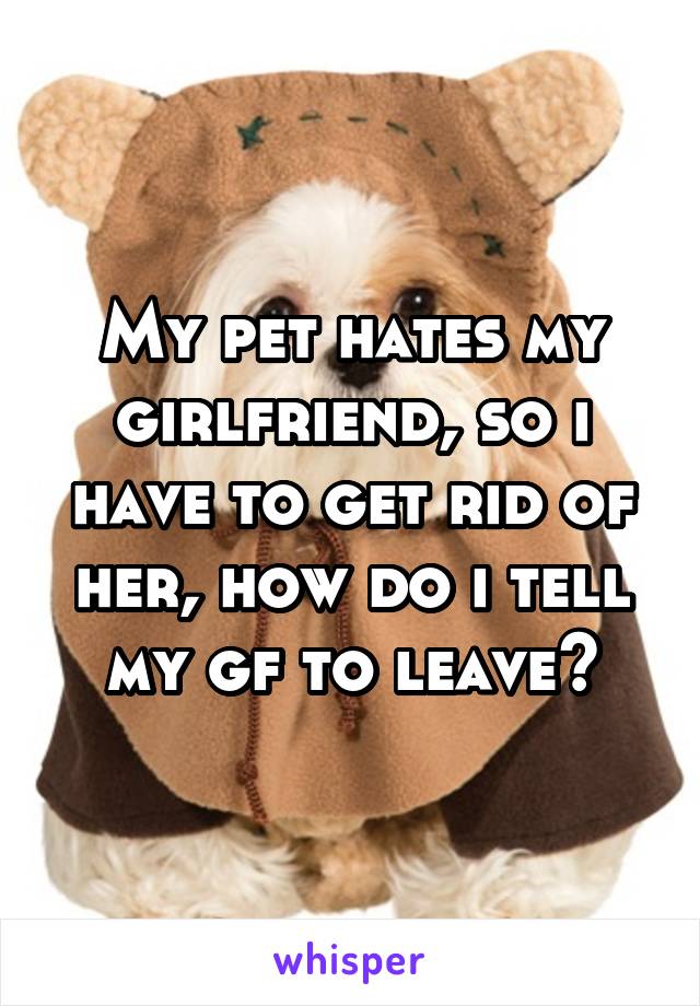 My pet hates my girlfriend, so i have to get rid of her, how do i tell my gf to leave?