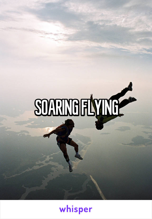 SOARING FLYING