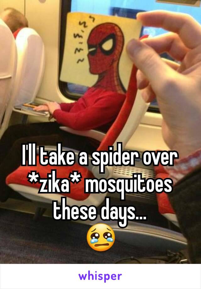 I'll take a spider over *zika* mosquitoes these days...
😢